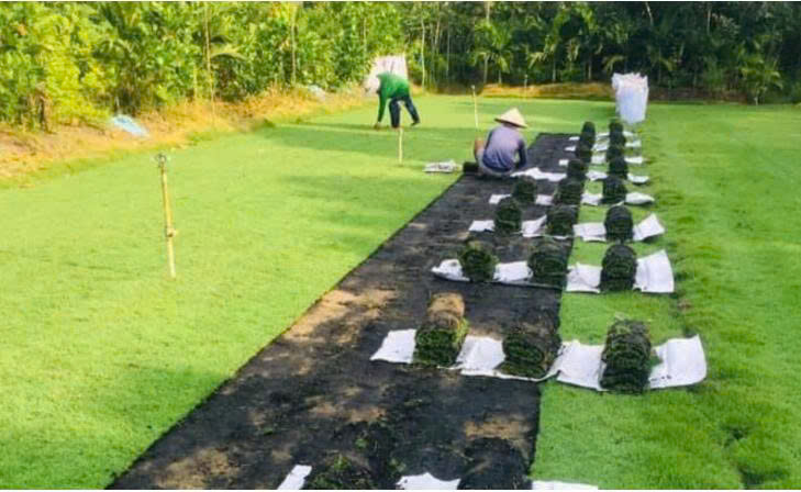 Z7139207116791 75cca832aea0c631457fd7d8cf4bbba5