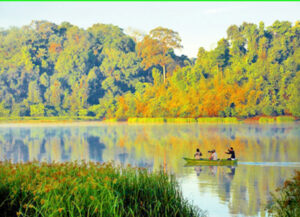 Toàn cảnh nam cát tiên