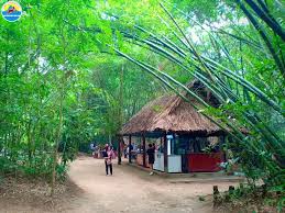 Toàn cảnh